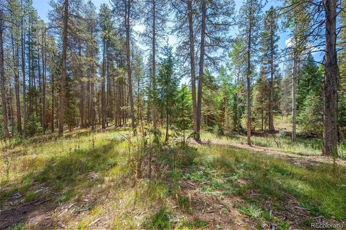 001 Lot 12 Indian Springs Rd, Conifer, CO 80433 - #1