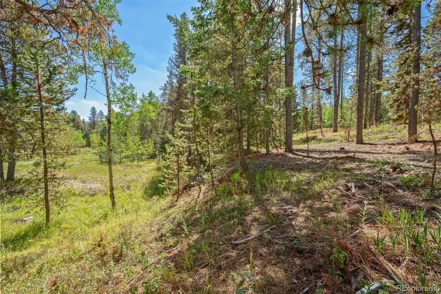 001 Lot 12 Indian Springs Rd, Conifer, CO 80433 - #2