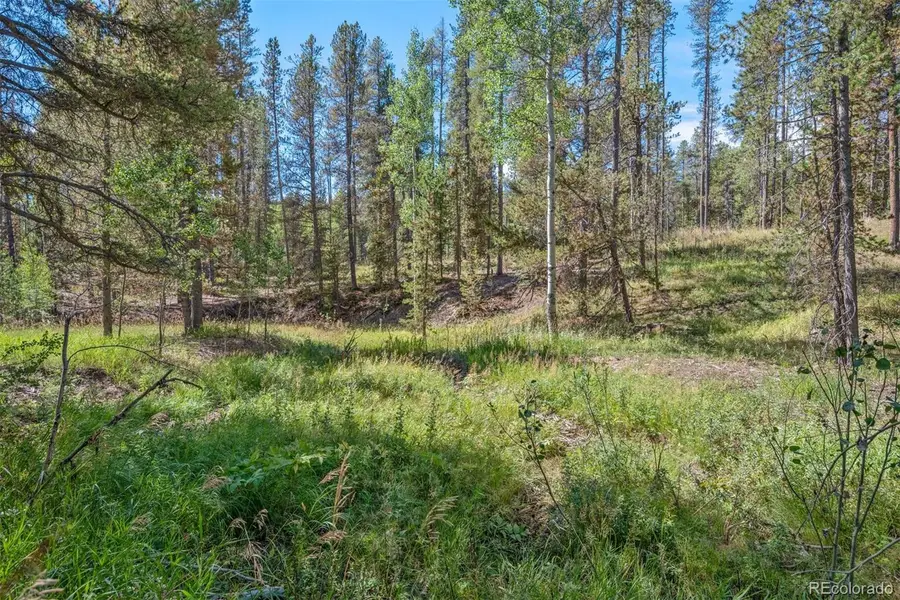 001 Lot 12 Indian Springs Rd, Conifer, CO 80433 - #3