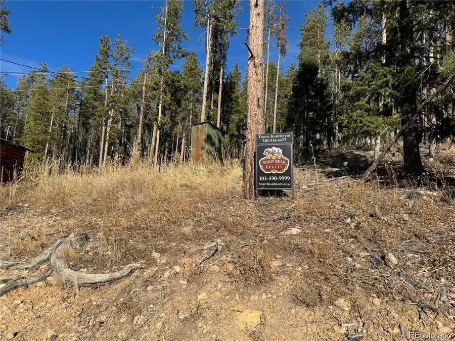 Pleasant Park Road, Conifer, CO 80433 - #2