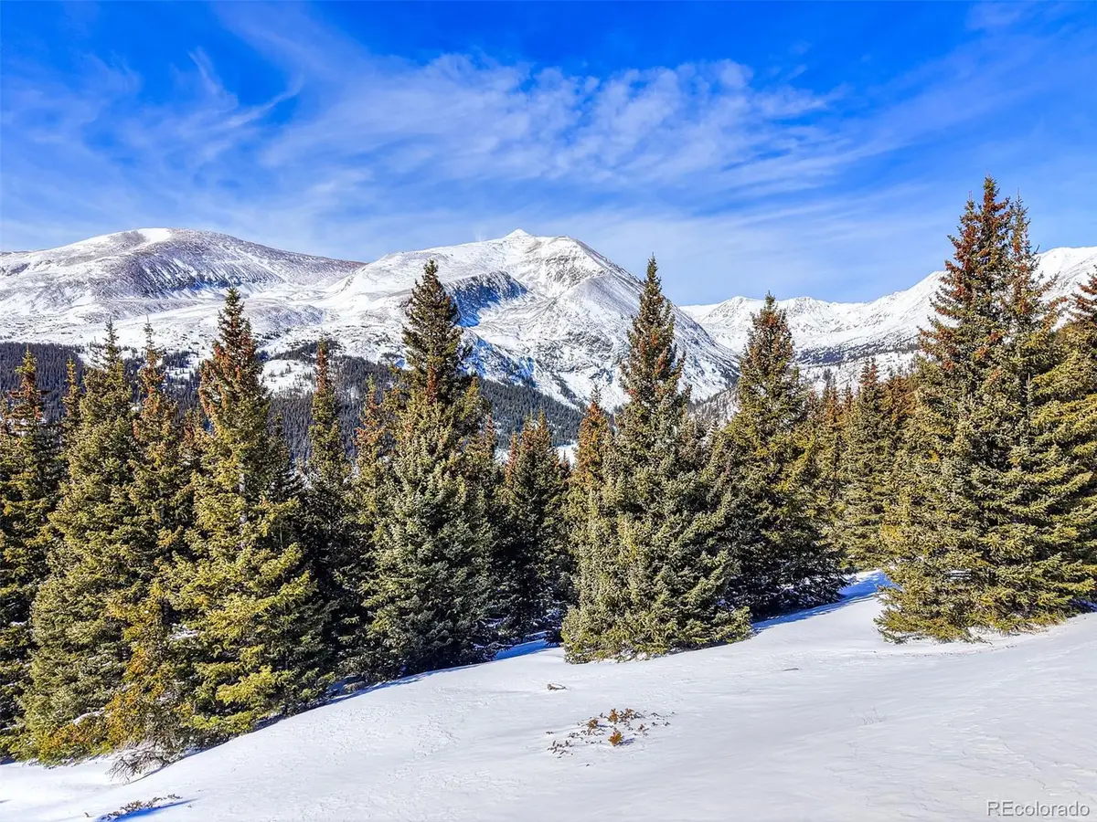 58969 Highway 9, Alma, CO 80420 - #1