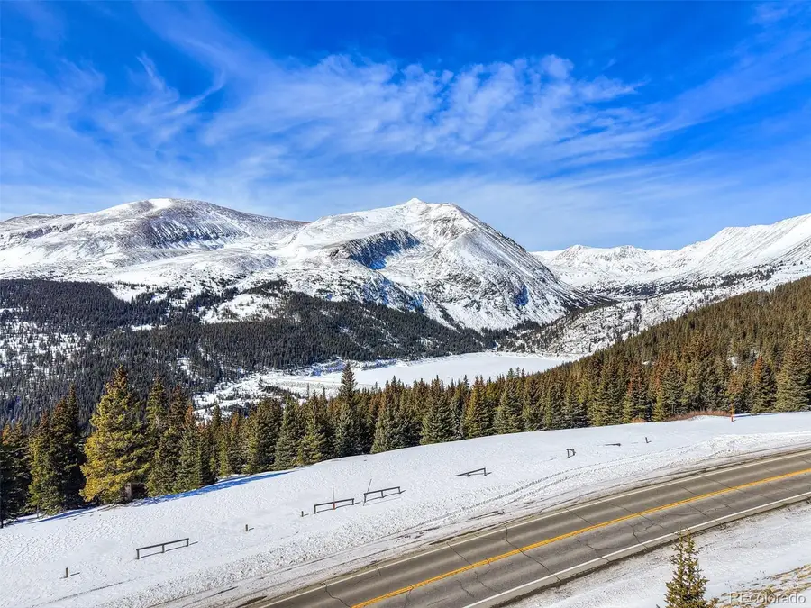 58969 Highway 9, Alma, CO 80420 - #3