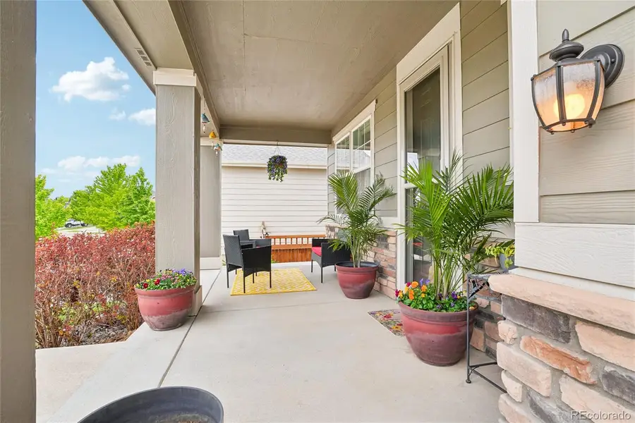 442 Daylily Street, Brighton, CO 80601 - #2