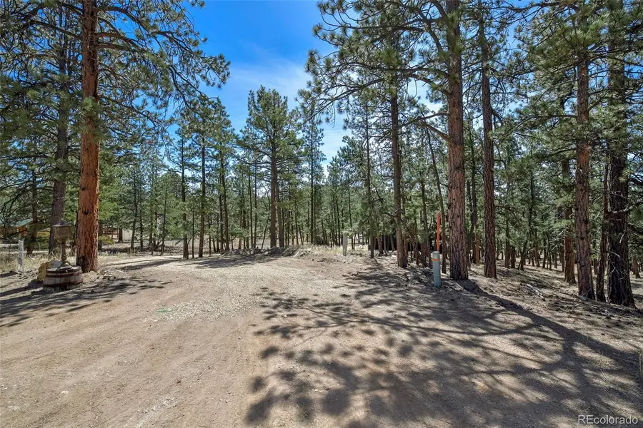 42 Hannah Circle, Westcliffe, CO 81252 - #2