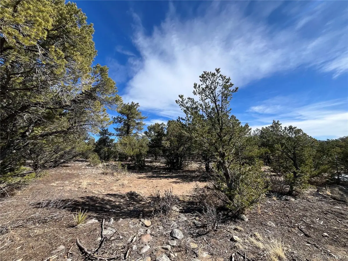 29274 Lakota Lane, Buena Vista, CO 81211 - #1