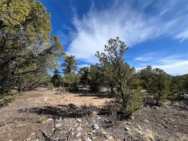 29274 Lakota Lane, Buena Vista, CO 81211