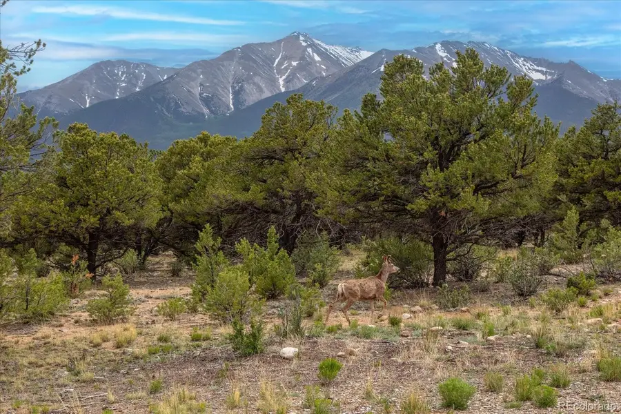 29274 Lakota Lane, Buena Vista, CO 81211 - #2