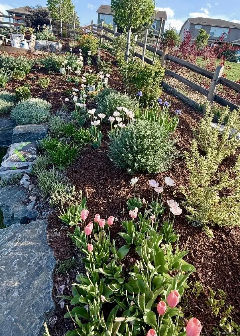 17840 W 95th Place, Arvada, CO 80007 - Image #2