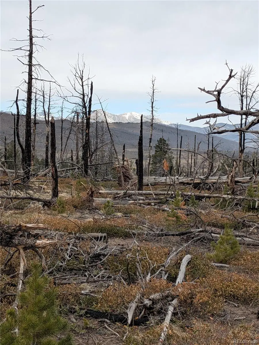 Lot 2301 Wohlstetter Loop, Fort Garland, CO 81133 - #1