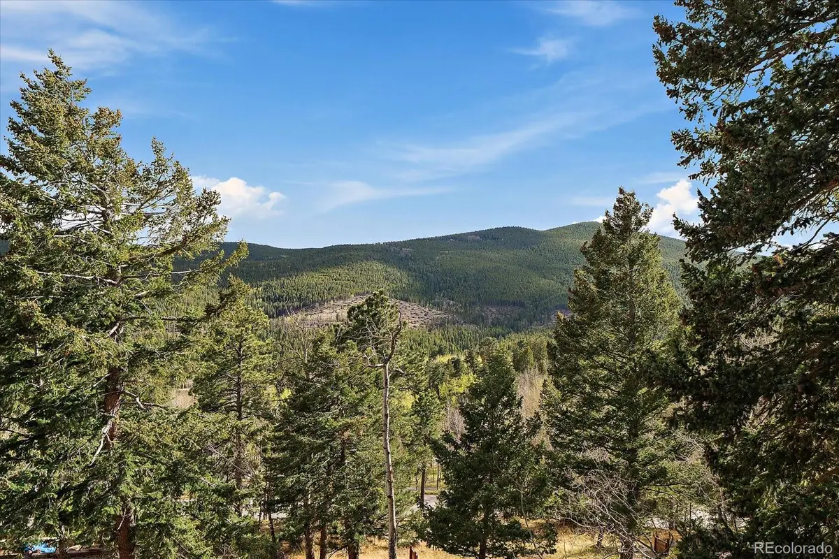 81 Raccoon Circle, Evergreen, CO 80439 - #1