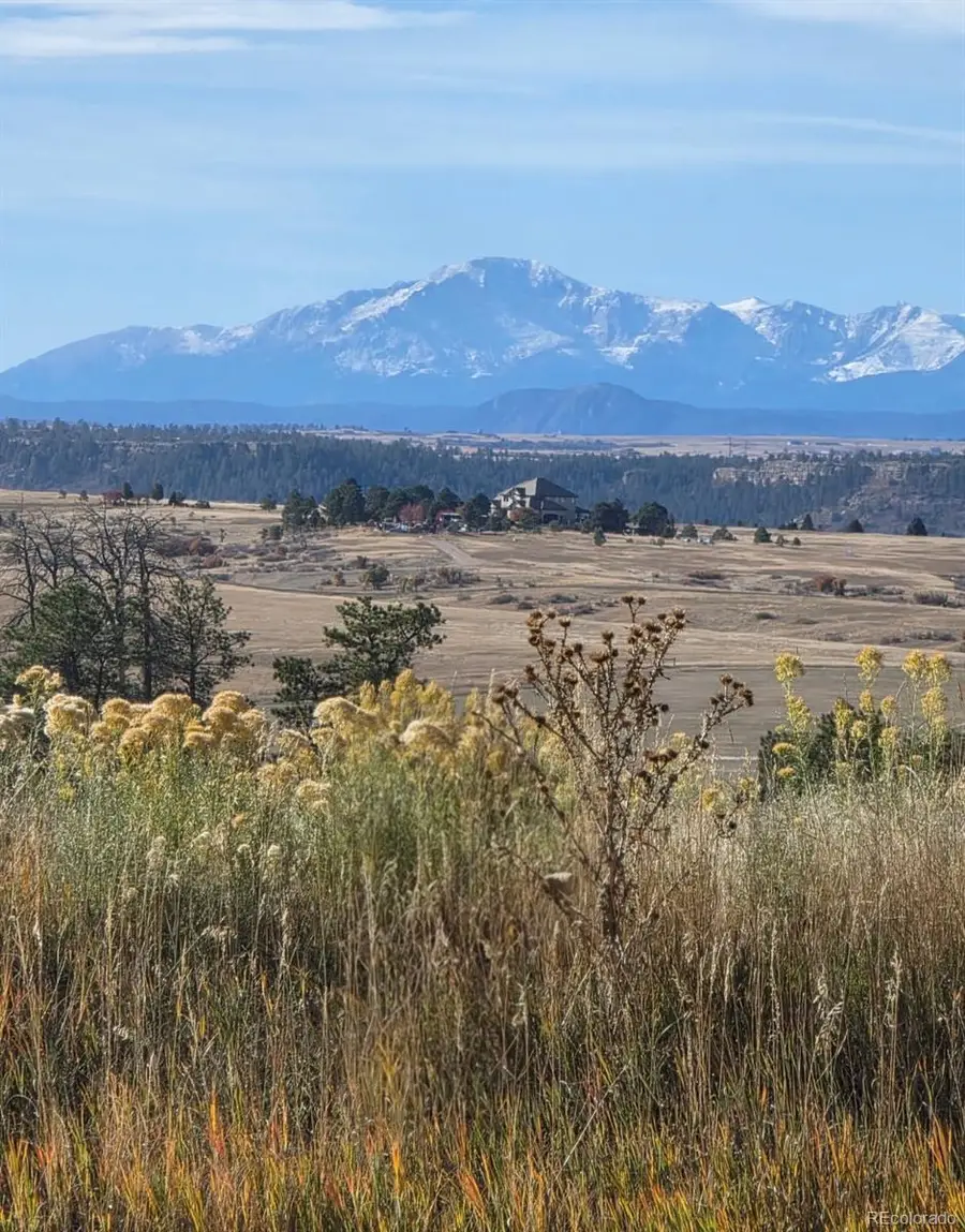 7928 Towhee Road, Parker, CO 80134 - #2