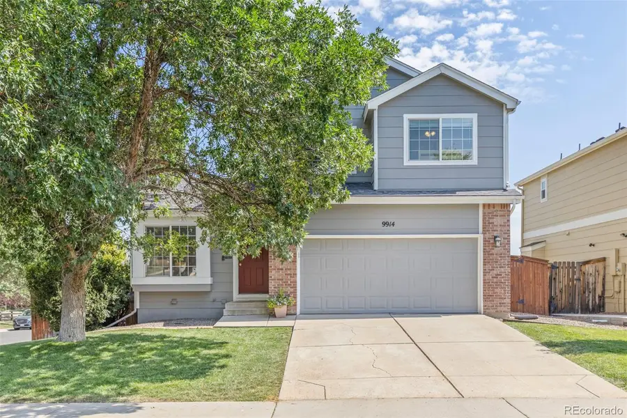 9914 Stonebriar Lane, Parker, CO 80134 - #3