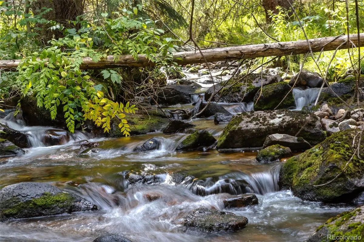 3648 County Road 8, Fraser, CO 80446 - #1