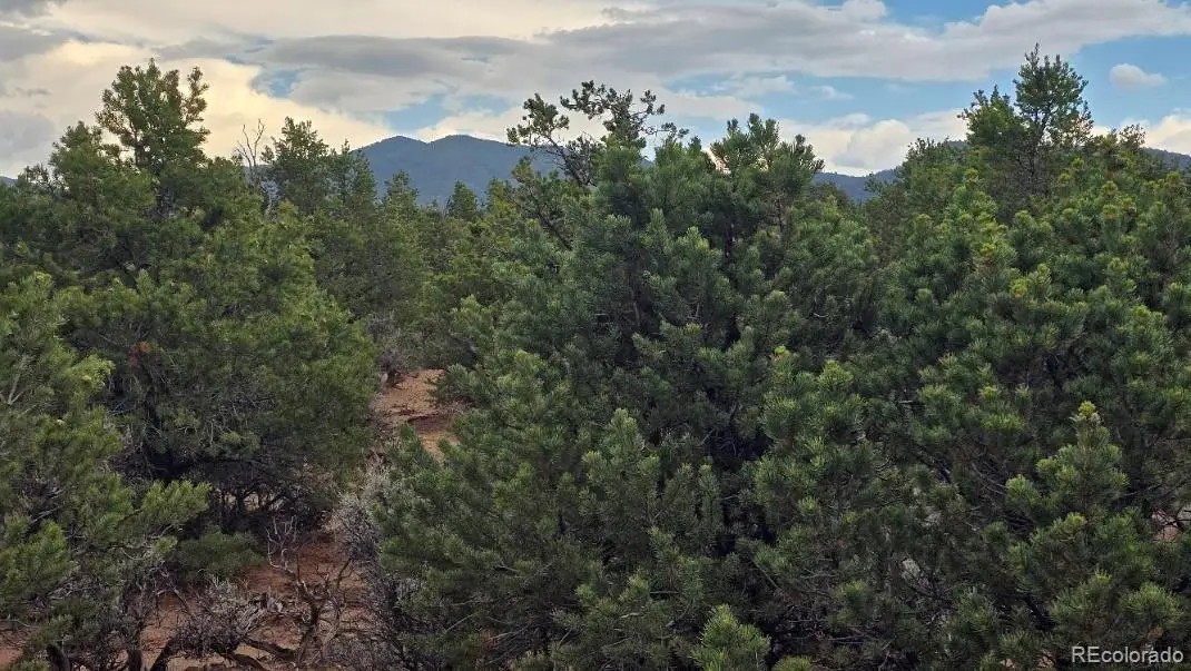 Lot 1862 Wilking Road, Fort Garland, CO 81133 - #1