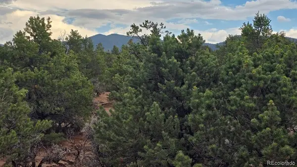 Lot 1862 Wilking Road, Fort Garland, CO 81133