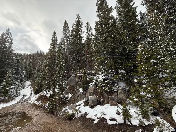 14 Mine Road, Idaho Springs, CO 80452