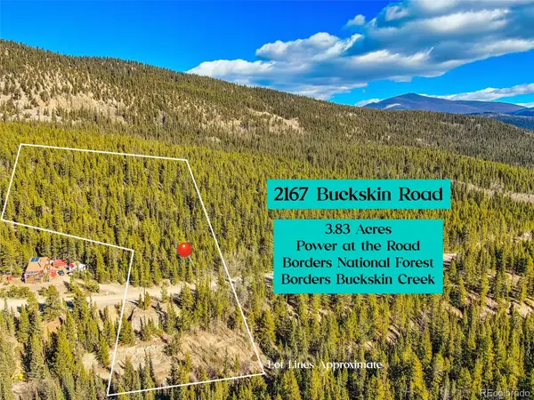 2167 Buckskin Road, Alma, CO 80420