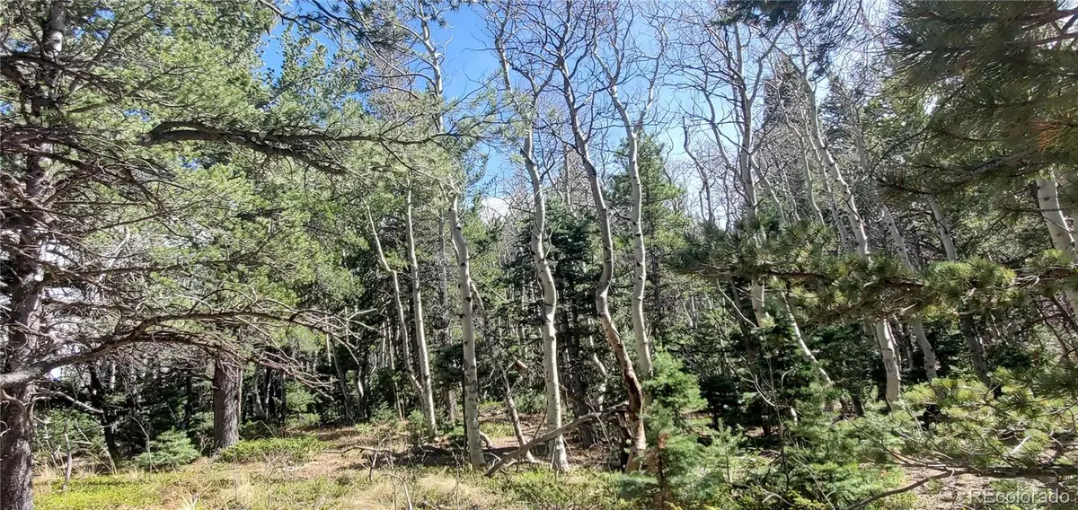 Lot 2560 Grojean Drive, Fort Garland, CO 81133 - #1