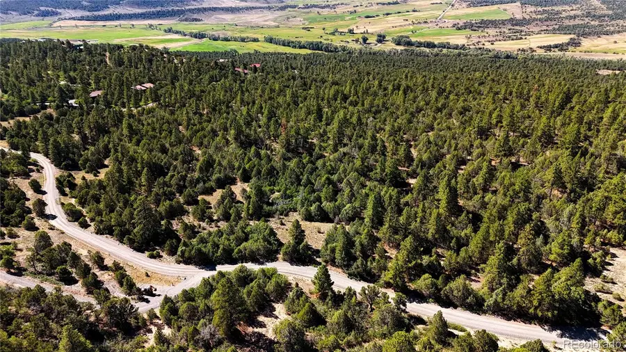 000 Old Relay Road, Ridgway, CO 81432 - #2