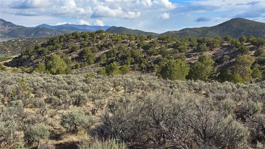 Lot 7340 Sweaney Road, Fort Garland, CO 81133 - #2