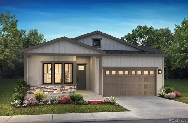 11156 Stonepath Street, Littleton, CO 80125