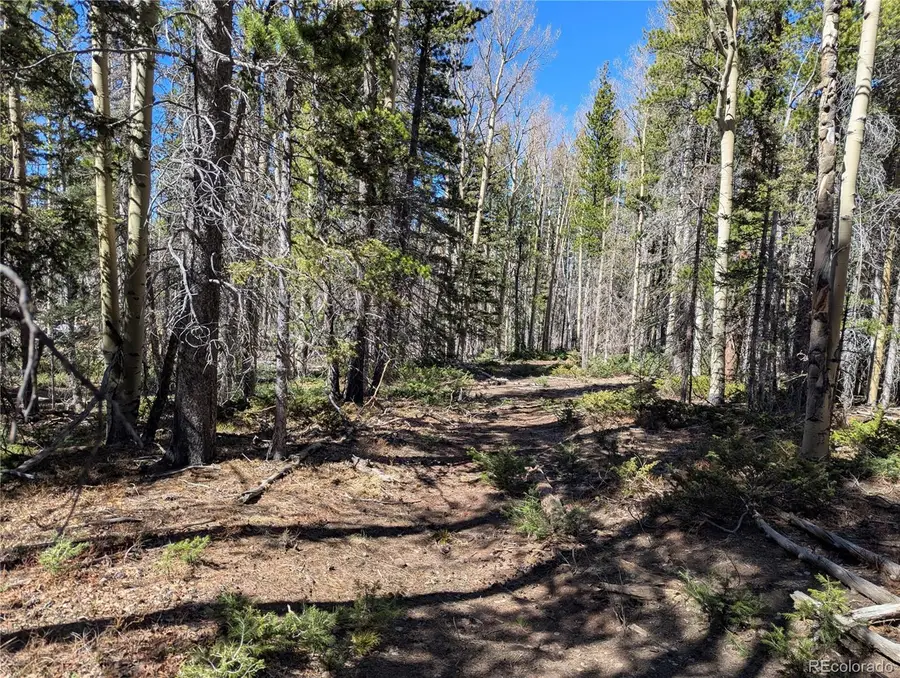 3375 Purnell Lane, Fort Garland, CO 81133 - #2