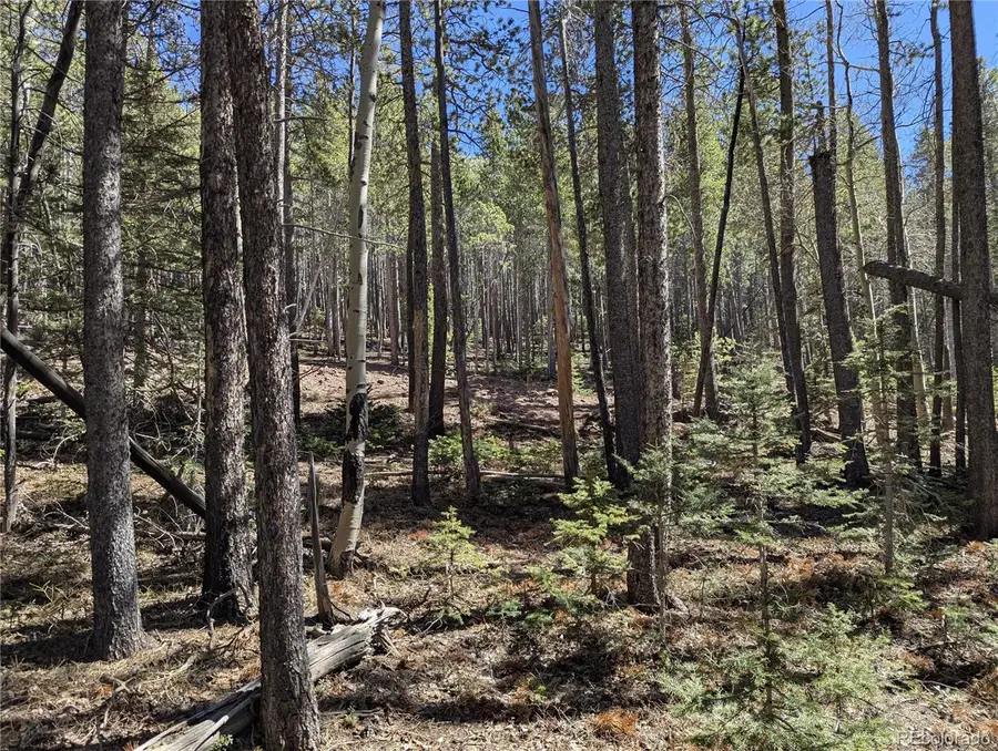 3375 Purnell Lane, Fort Garland, CO 81133 - #3