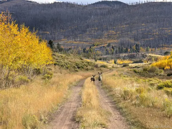 1129 Laker Lane, Fort Garland, CO 81133