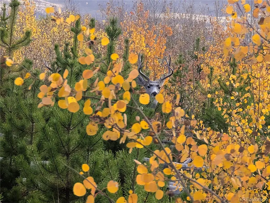 1129 Laker Lane, Fort Garland, CO 81133 - Image #2