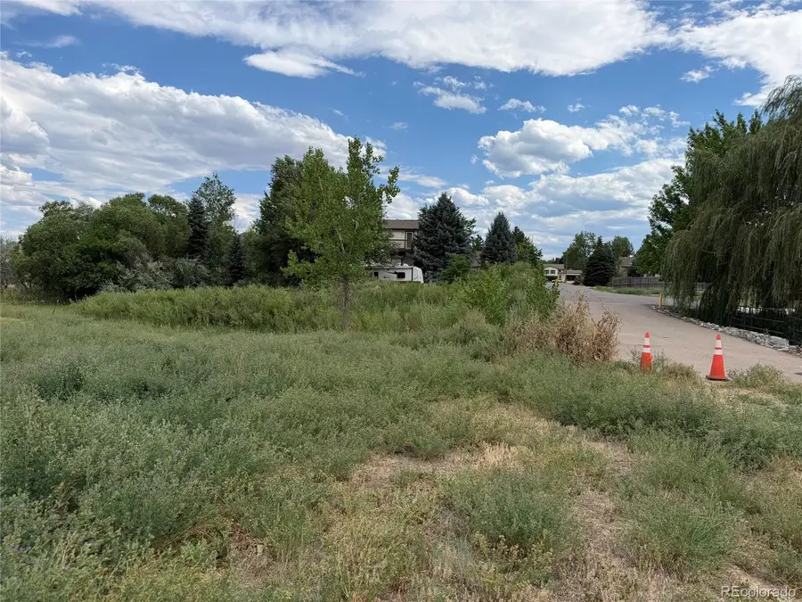 7826 S Field Street, Littleton, CO 80128 - #3