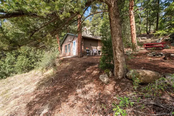 25845 Wilkerson Road, Conifer, CO 80433