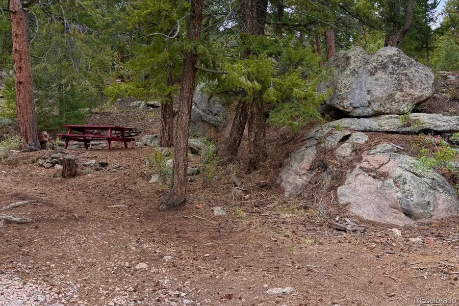25845 Wilkerson Road, Conifer, CO 80433 - #3
