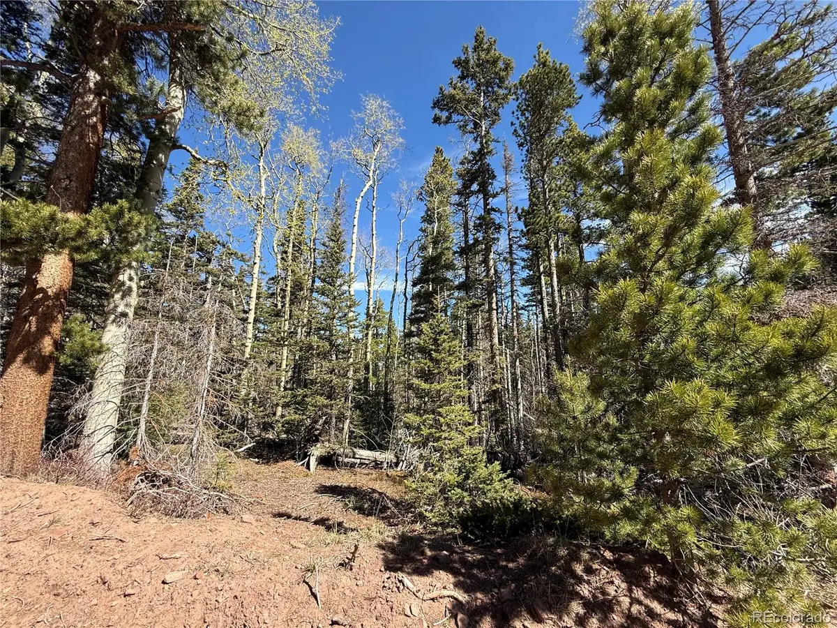 Lot 3408 Drexler Place, Fort Garland, CO 81133 - #1