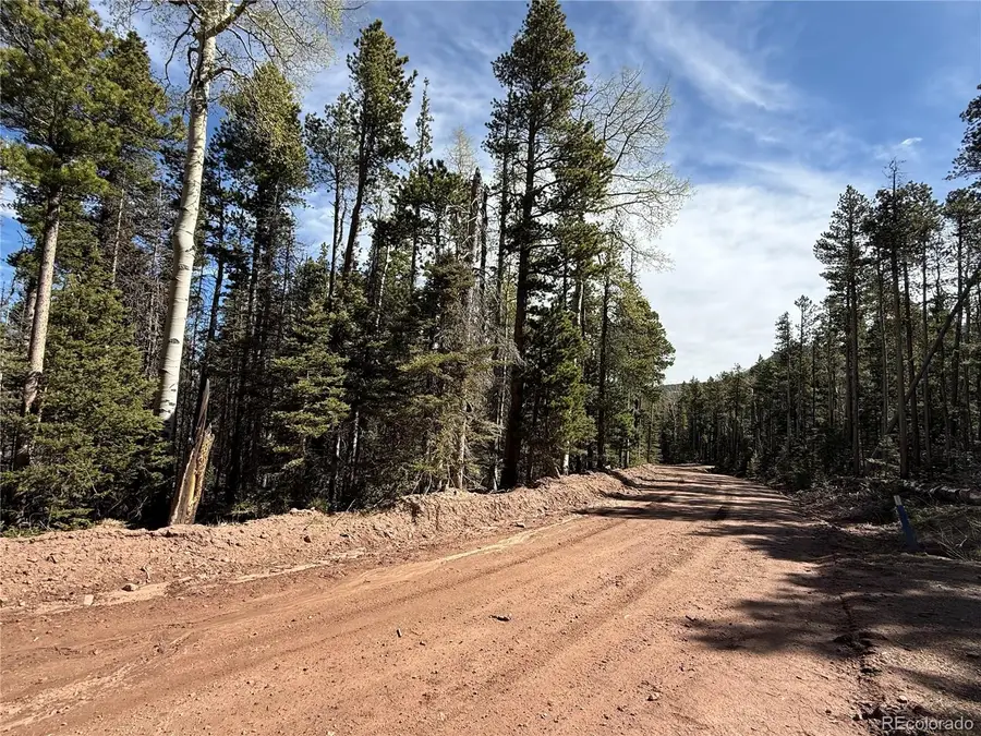 Lot 3408 Drexler Place, Fort Garland, CO 81133 - #2