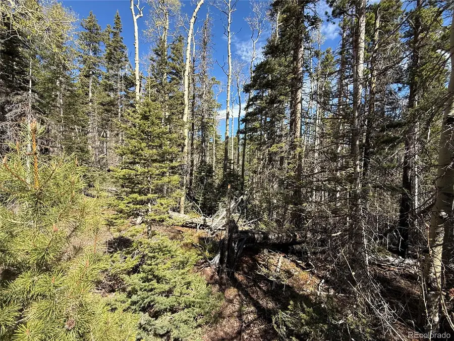 Lot 3408 Drexler Place, Fort Garland, CO 81133 - #3