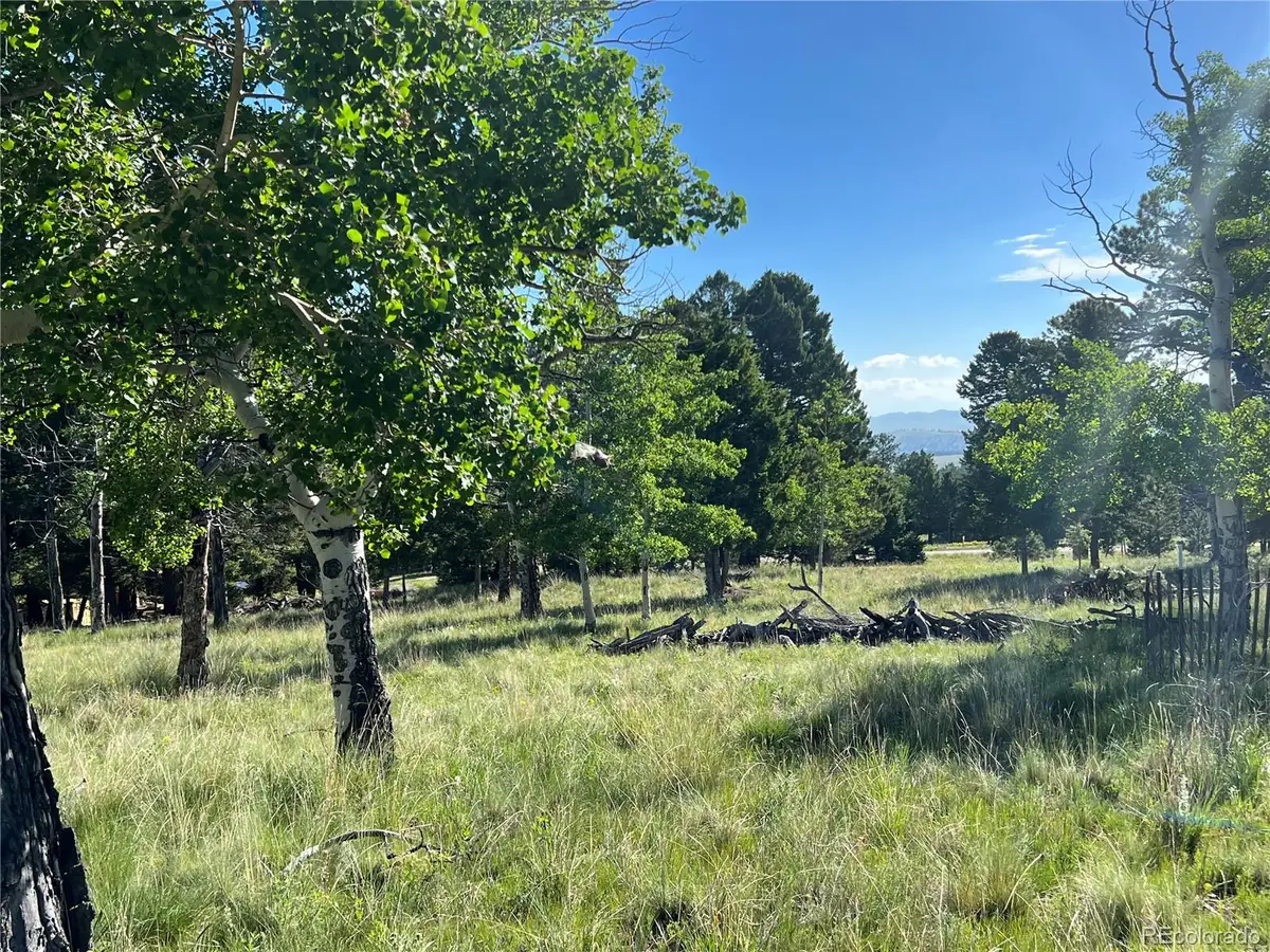 9430 Ranch Road Road, Hartsel, CO 80449 - #1