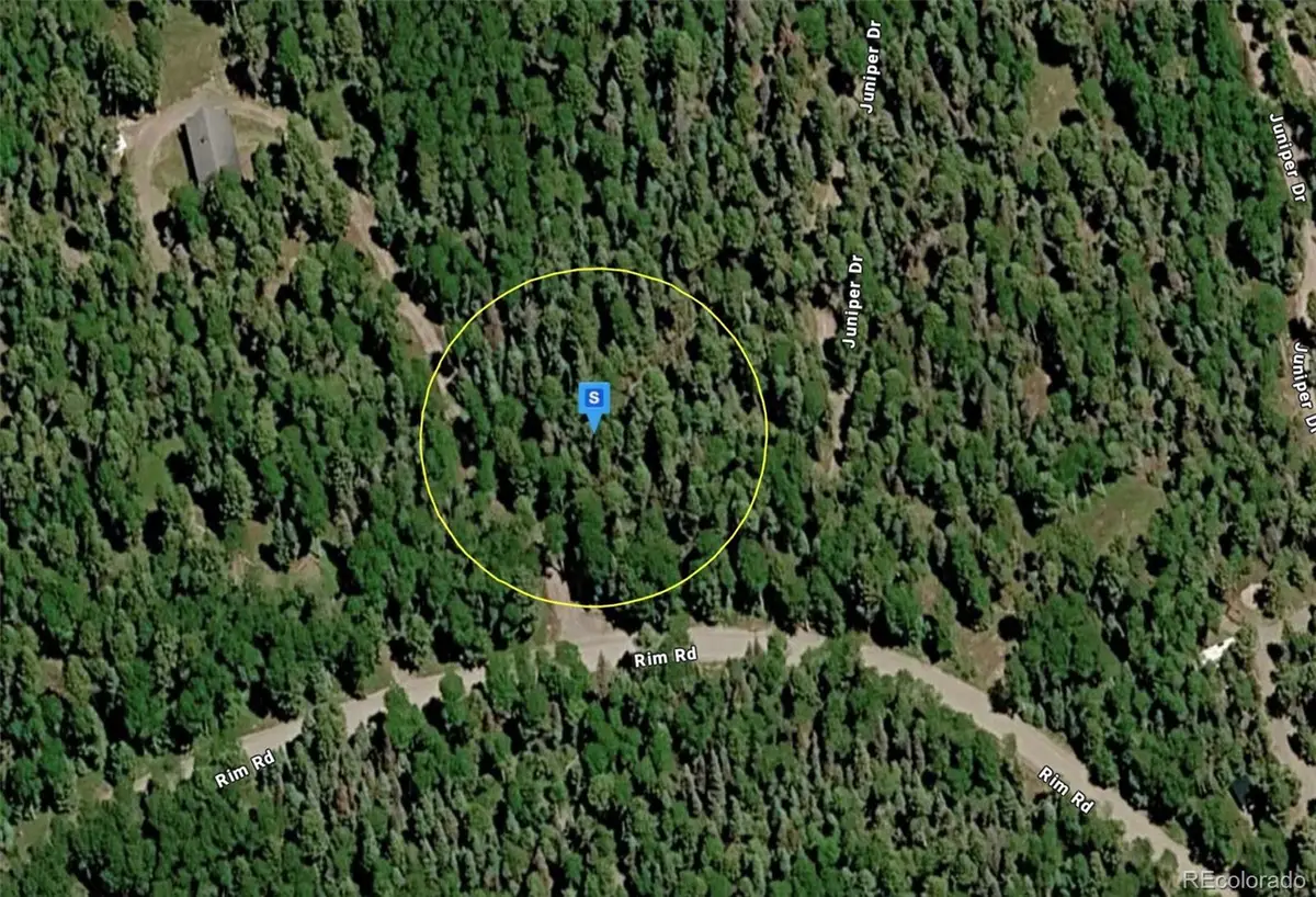 423 Rim Road, Cimarron, CO 81220 - #1