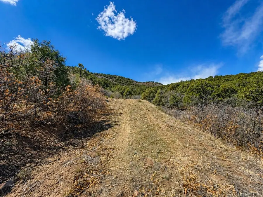 TBD - Lot 36 Corral N, Texas Creek, CO 81223 - #3