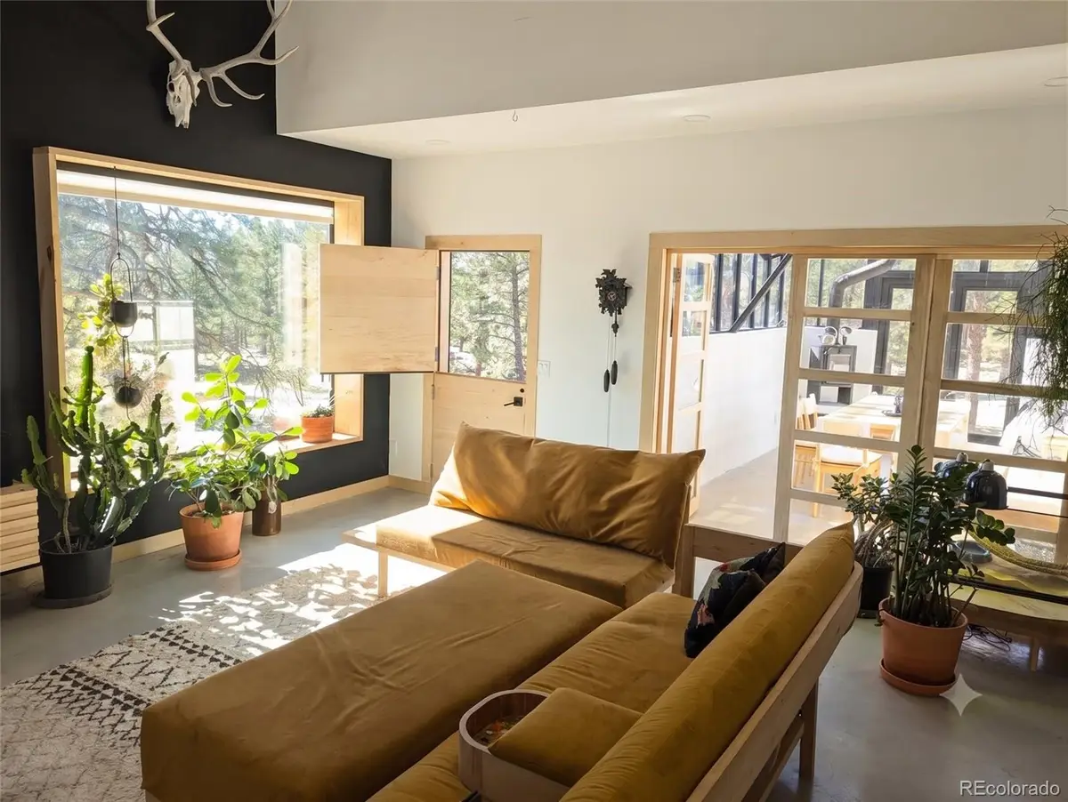 18095 Camino Del Norte, Buena Vista, CO 81211 - #1