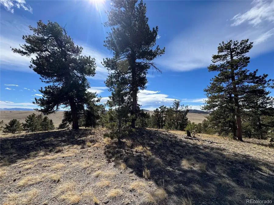 62 Powder Way, Jefferson, CO 80456 - #2