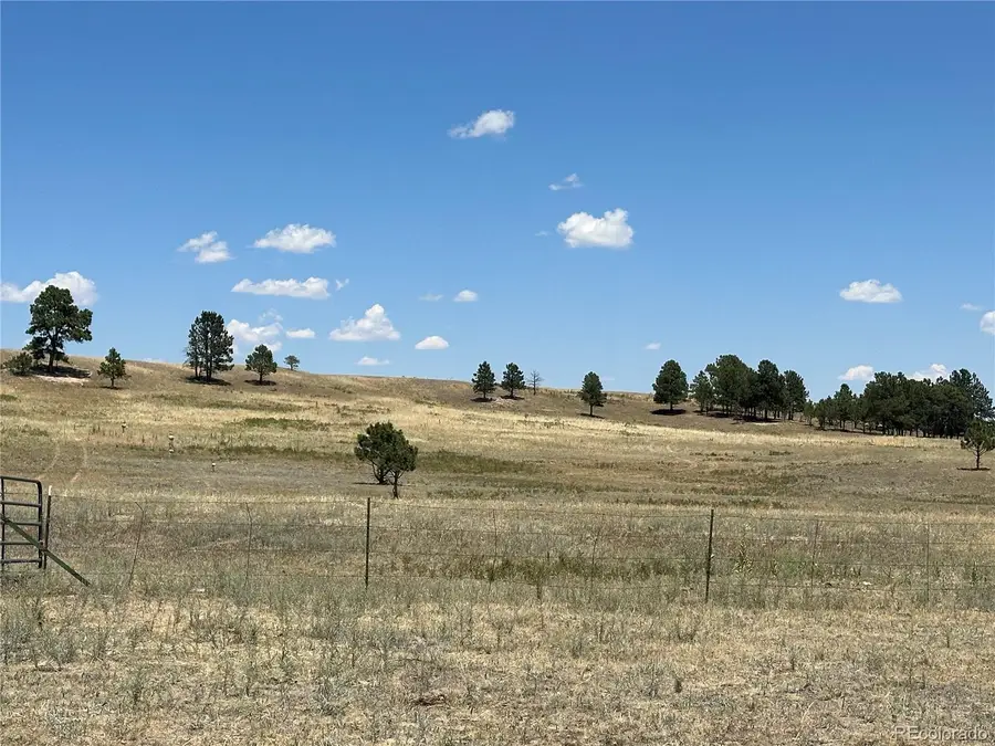 Goodson Road, Peyton, CO 80831 - #3