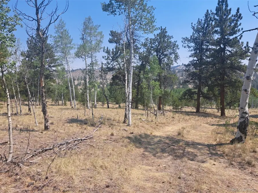 2338 Fitzsimmons Road, Hartsel, CO 80449 - #2