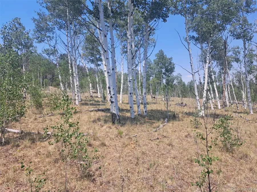 2338 Fitzsimmons Road, Hartsel, CO 80449 - #3