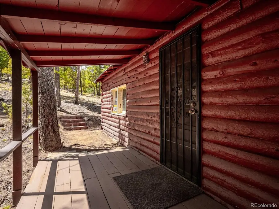 33431 Lake Lane, Pine, CO 80470 - #3