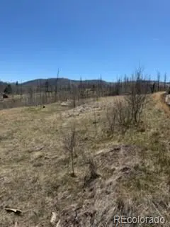 1648 Cary Lane, Fort Garland, CO 81133 - #3