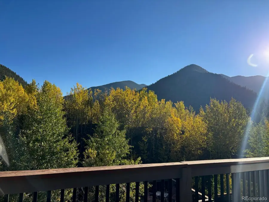 188 E Clear Creek Drive, Empire, CO 80438 - #2