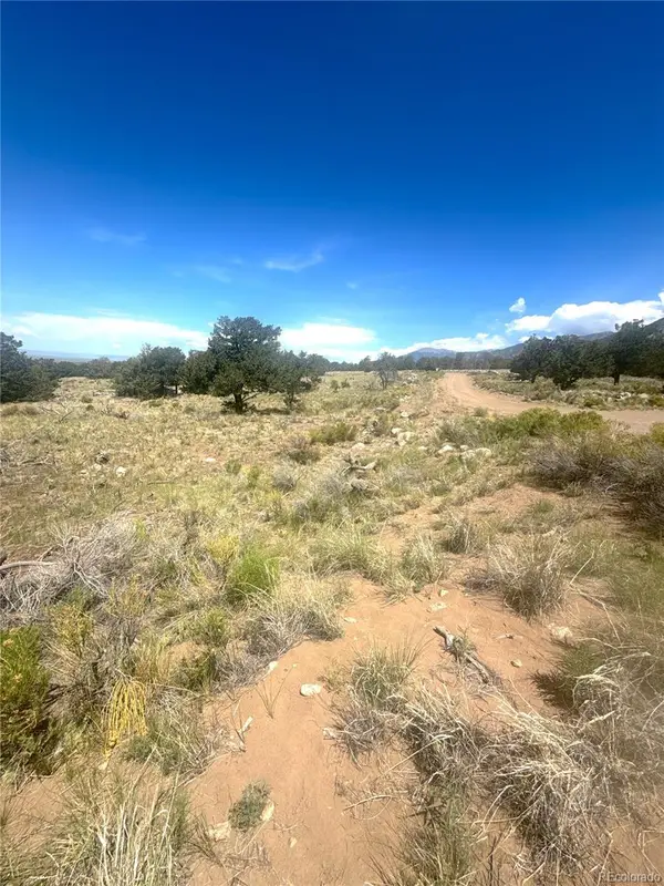 4472 Greenview Court, Crestone, CO 81131