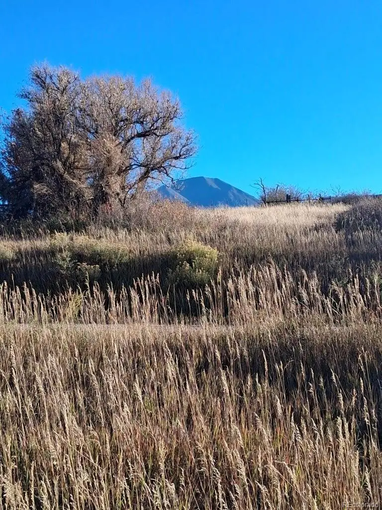 E Grand, La Veta, CO 81055 - #2