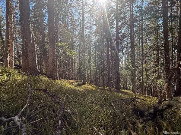 LOT 6530 Schluetter Road, Fort Garland, CO 81133