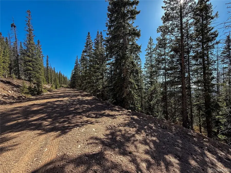 LOT 6530 Schluetter Road, Fort Garland, CO 81133 - #2